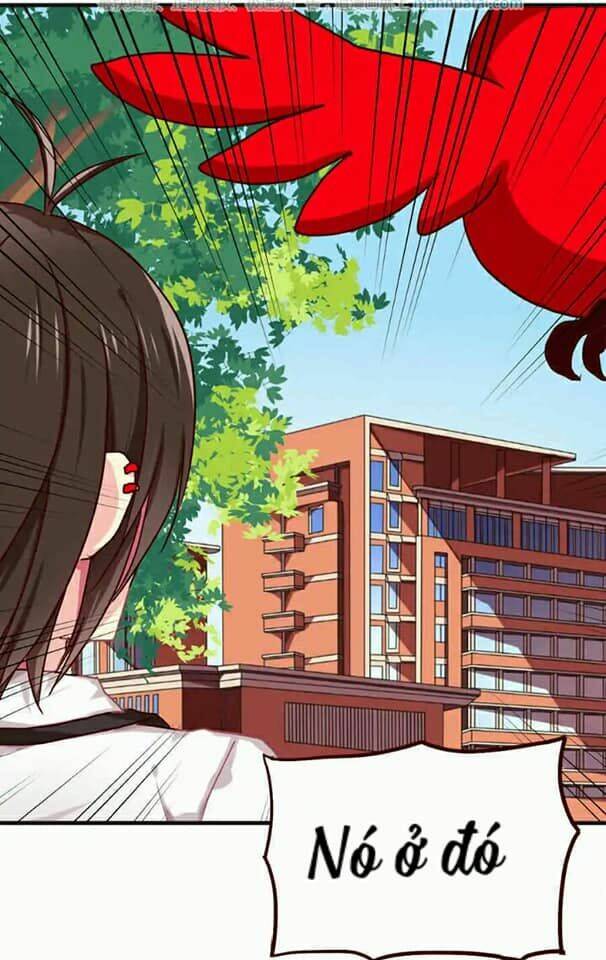 tân quang thiên chapter 27 10