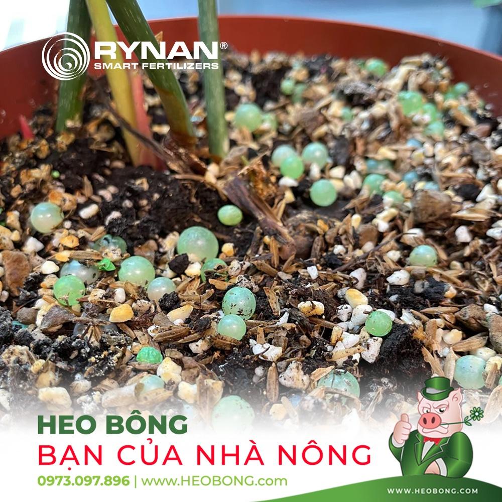 Phân thông minh RYNAN 230 chuyên bón cây BONSAI - KIỂNG LÁ - TAN CHẬM 6 THÁNG