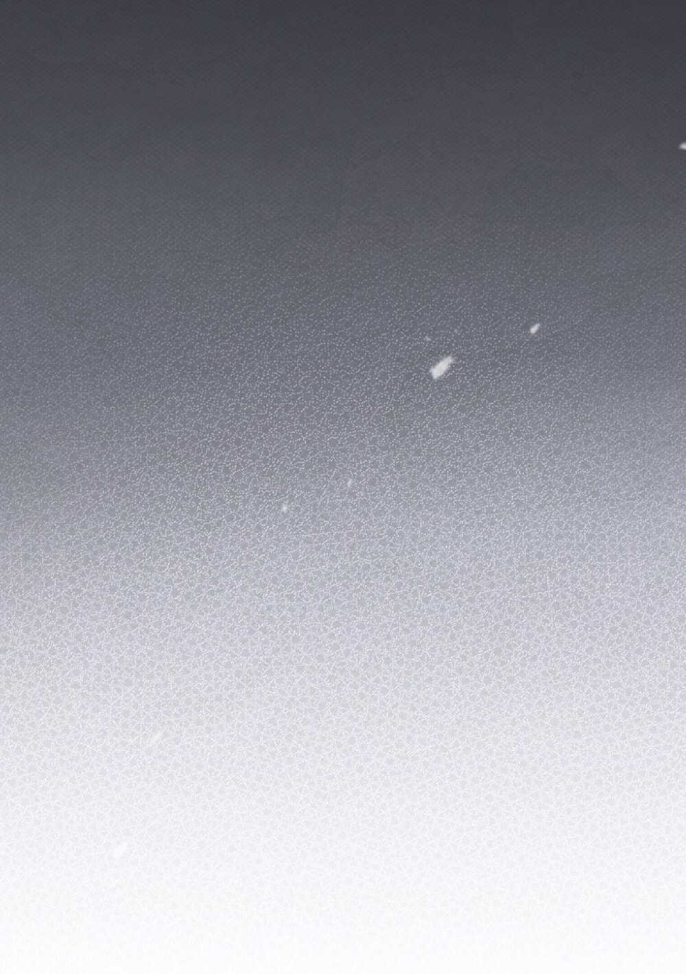 Dưới Bóng Cây Sồi chapter 118.1 13