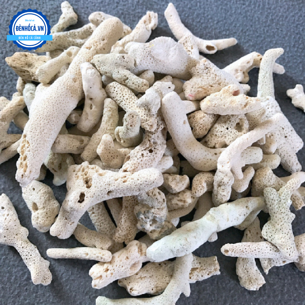 VẬT LIỆU LỌC HỒ CÁ SAN HỘ VỤN 200G
