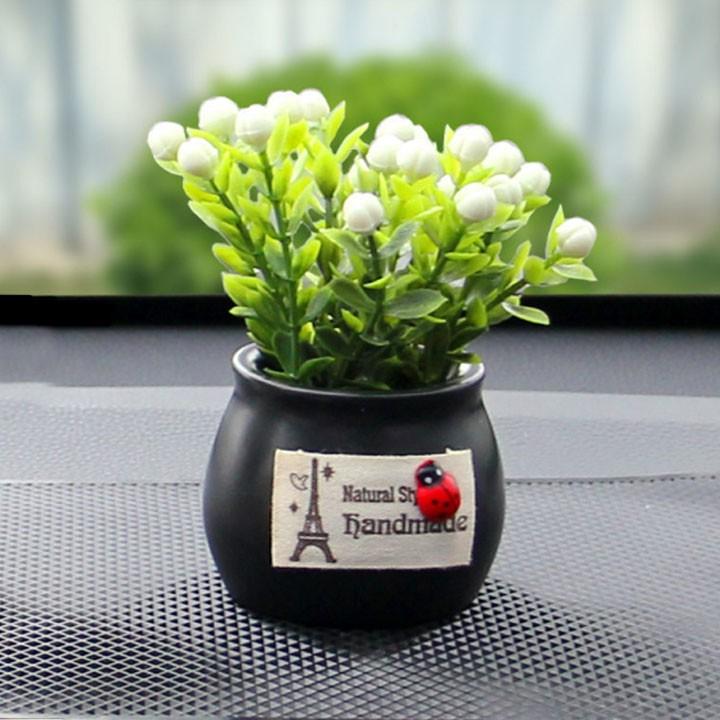 Chậu Hoa Mini Để Taplo Ô Tô, Để Bàn Trang Trí