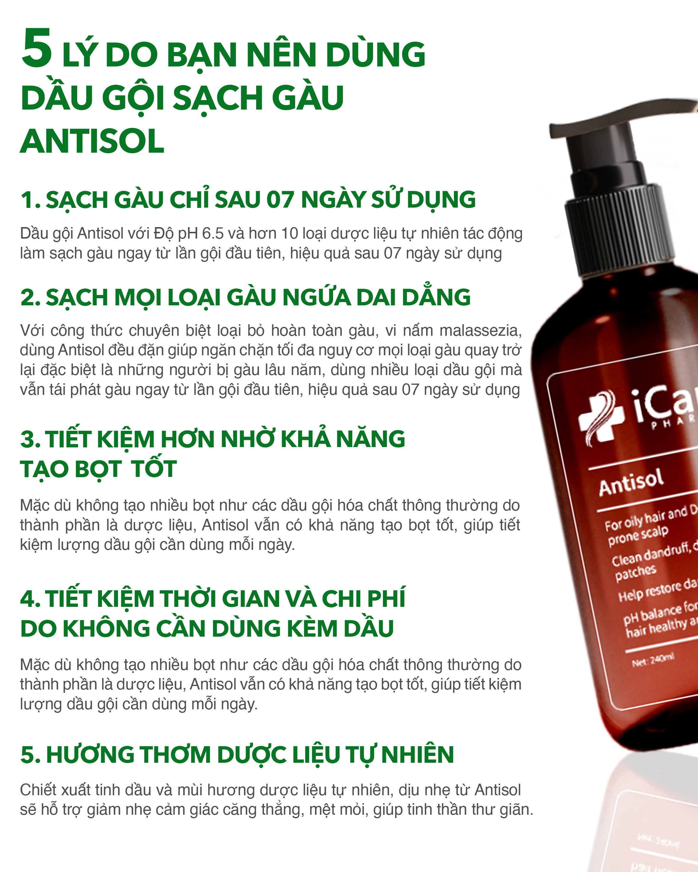 Dầu Gội Sạch Gàu Antisol pH6.5 Chiết Xuất Dược Liệu Ngăn Ngừa Gàu, Rụng Tóc, Ngứa Da Đầu Tái Phát - Chai 240ml - Thương Hiệu iCare Pharma