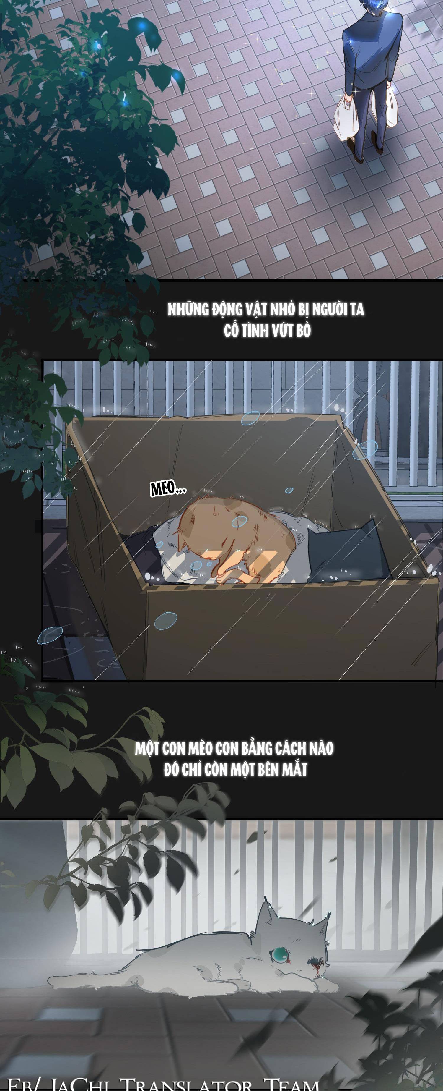 tôi là một tên điên chapter 2 6