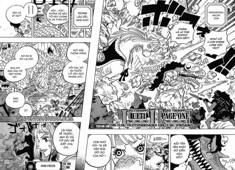 đảo hải tặc - one piece chapter 998 11