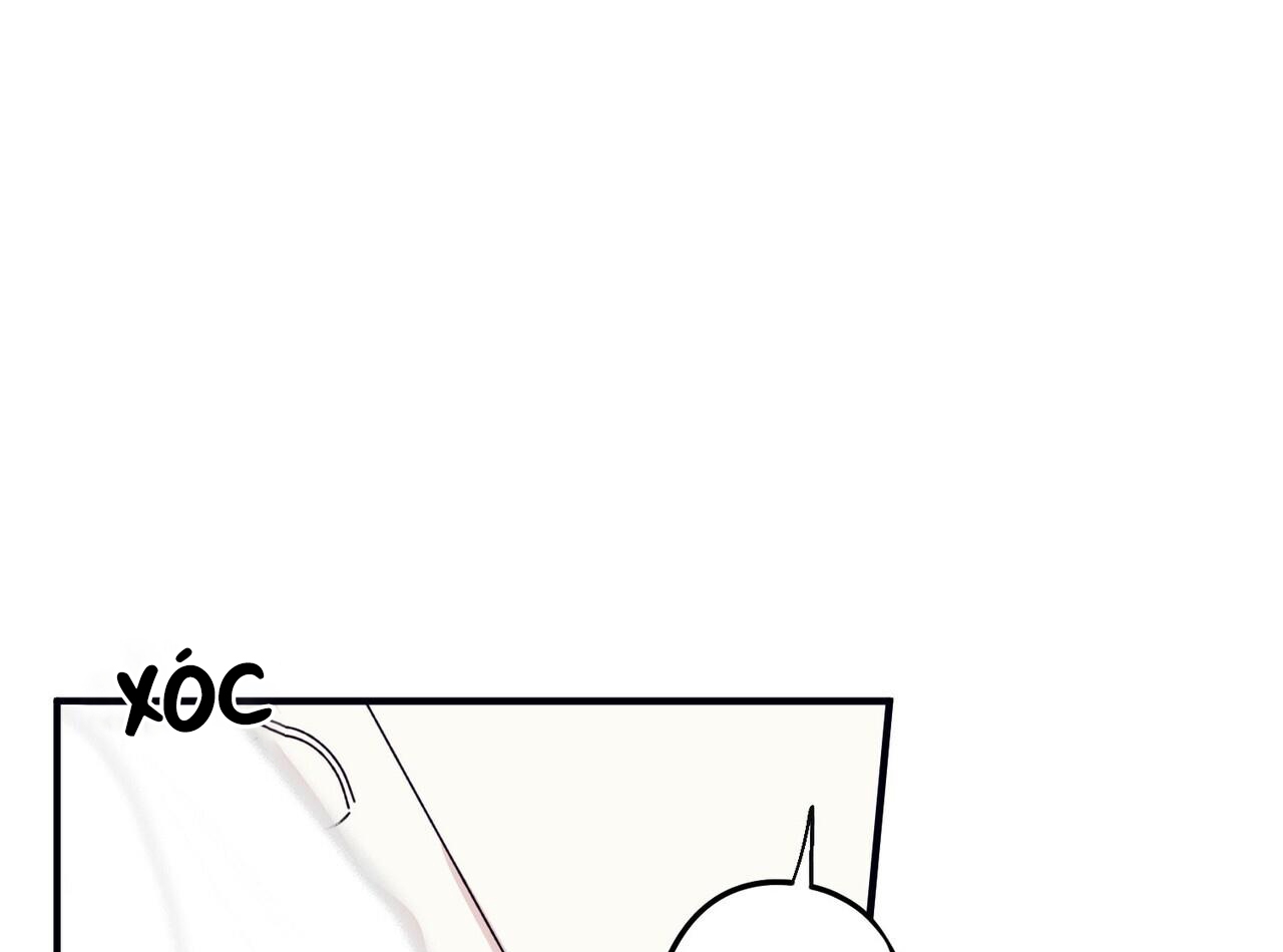 chàng dâu nhà họ kang chapter 44 45