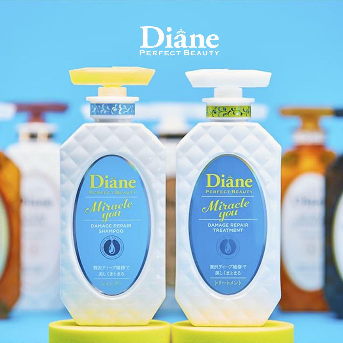 Dầu gội xả Diane Miracle You Damage bền màu tóc, ngừa gãy rụng và phục hồi hư tổn dành cho tóc nhuộm tẩy 450ml