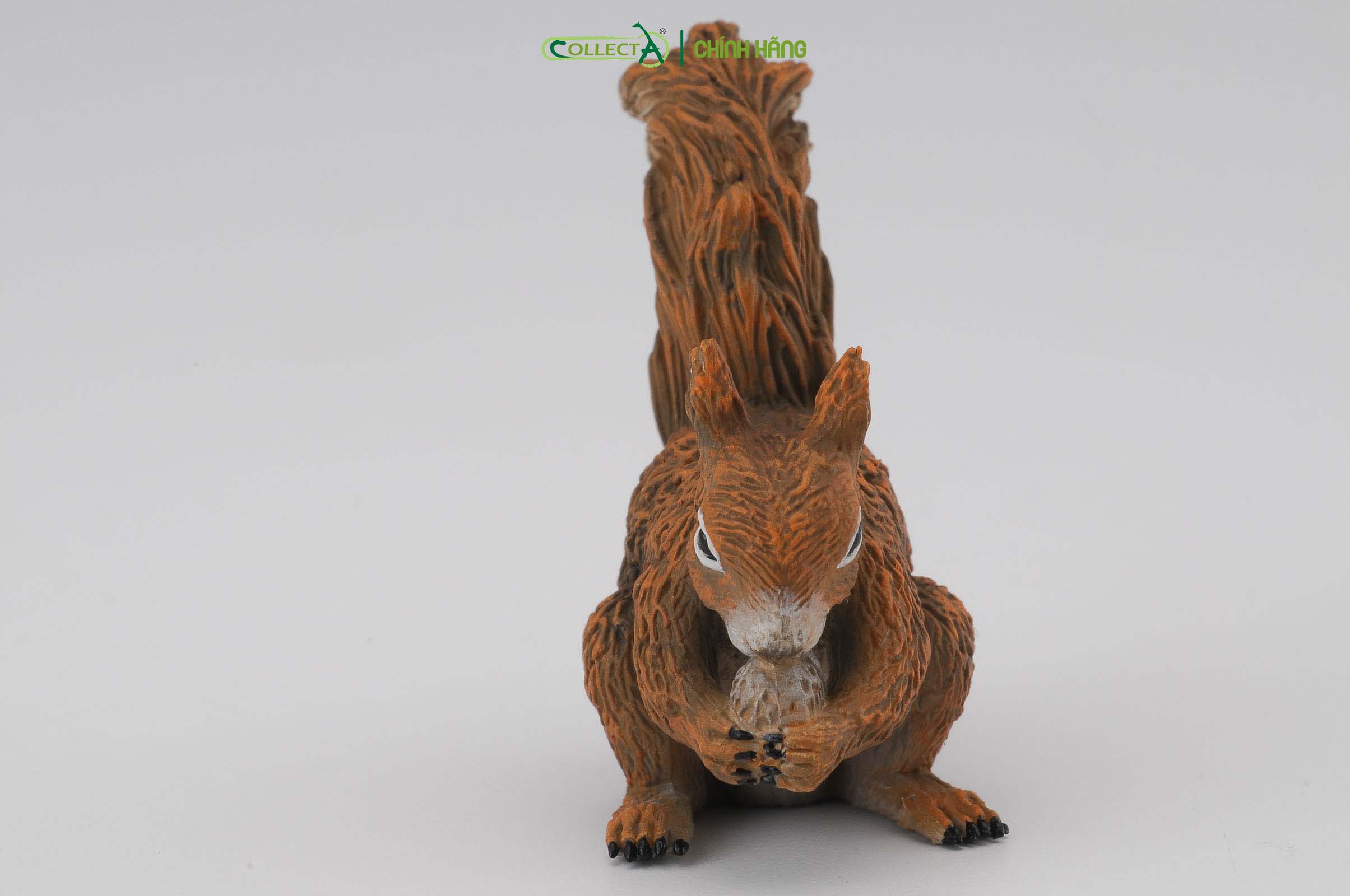 Mô hình thu nhỏ: Sóc - Red Squirrel - Eating, hiệu: CollectA, mã HS 9651330[88467] -  Chất liệu an toàn cho trẻ - Hàng chính hãng