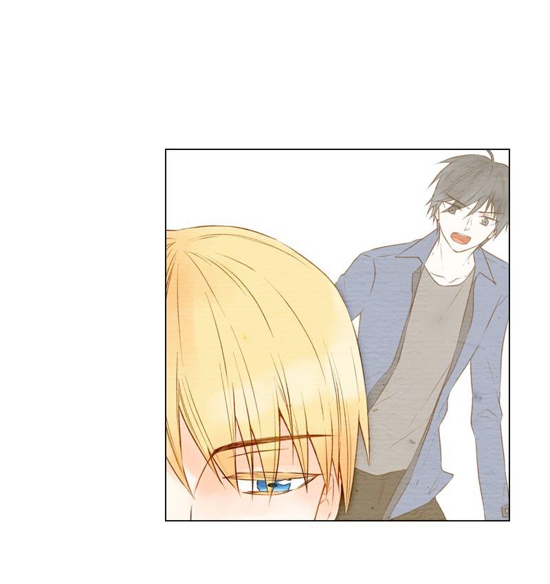 sao chép chapter 11 16