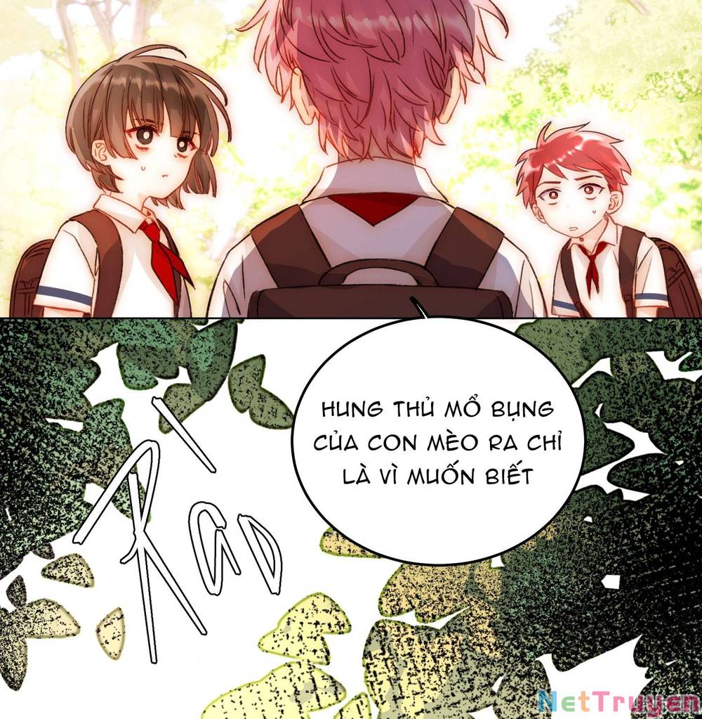 tôi phải làm 1 kẻ đại xấu xa chapter 45 14