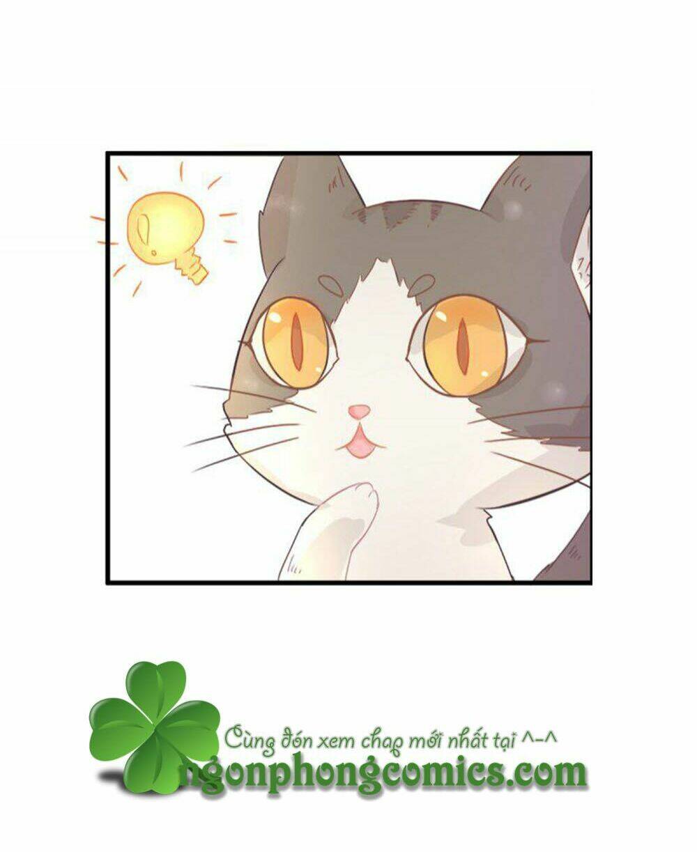 hai chú mèo totem chapter 1 54
