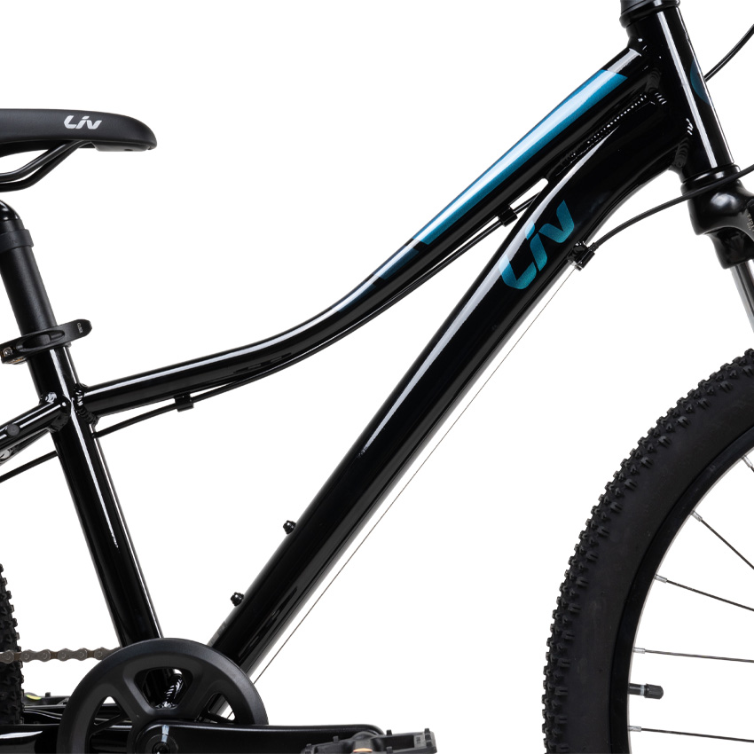 Xe Đạp Trẻ Em Youth LIV Enchant 24 Disc – Phanh Đĩa, Bánh 24 Inches – 2022