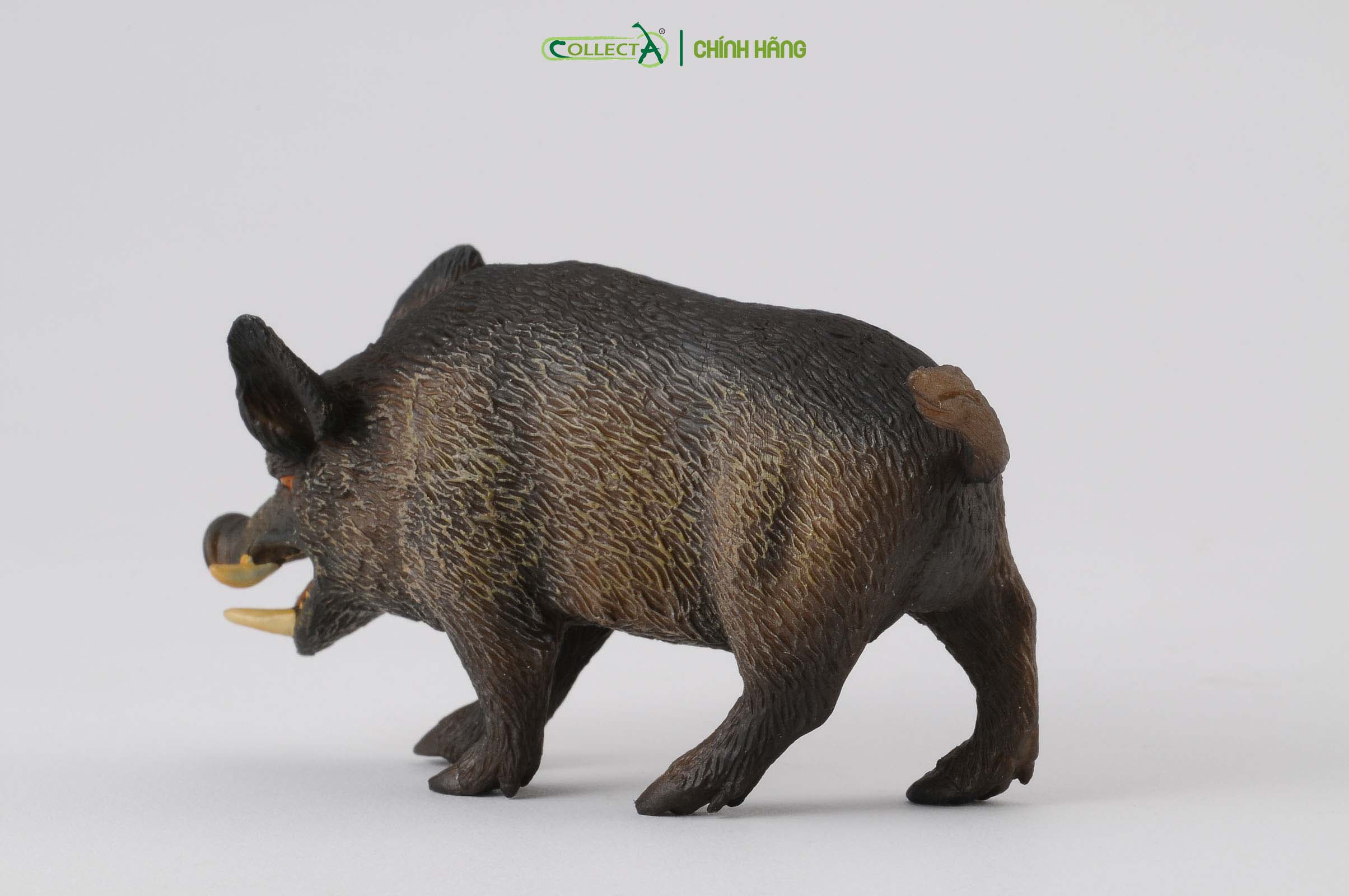 Mô hình thu nhỏ: Lợn Rừng - Wild Boar , hiệu: CollectA, mã HS 9651240[88363] -  Chất liệu an toàn cho trẻ - Hàng chính hãng