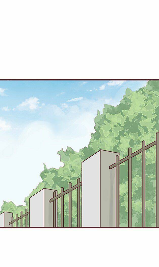 hoa đào nhẹ rơi đẹp như em chapter 3 25