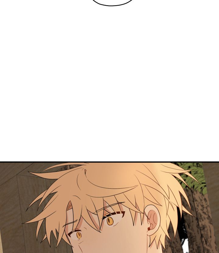 đường hoa liên kiều rơi chapter 27 75