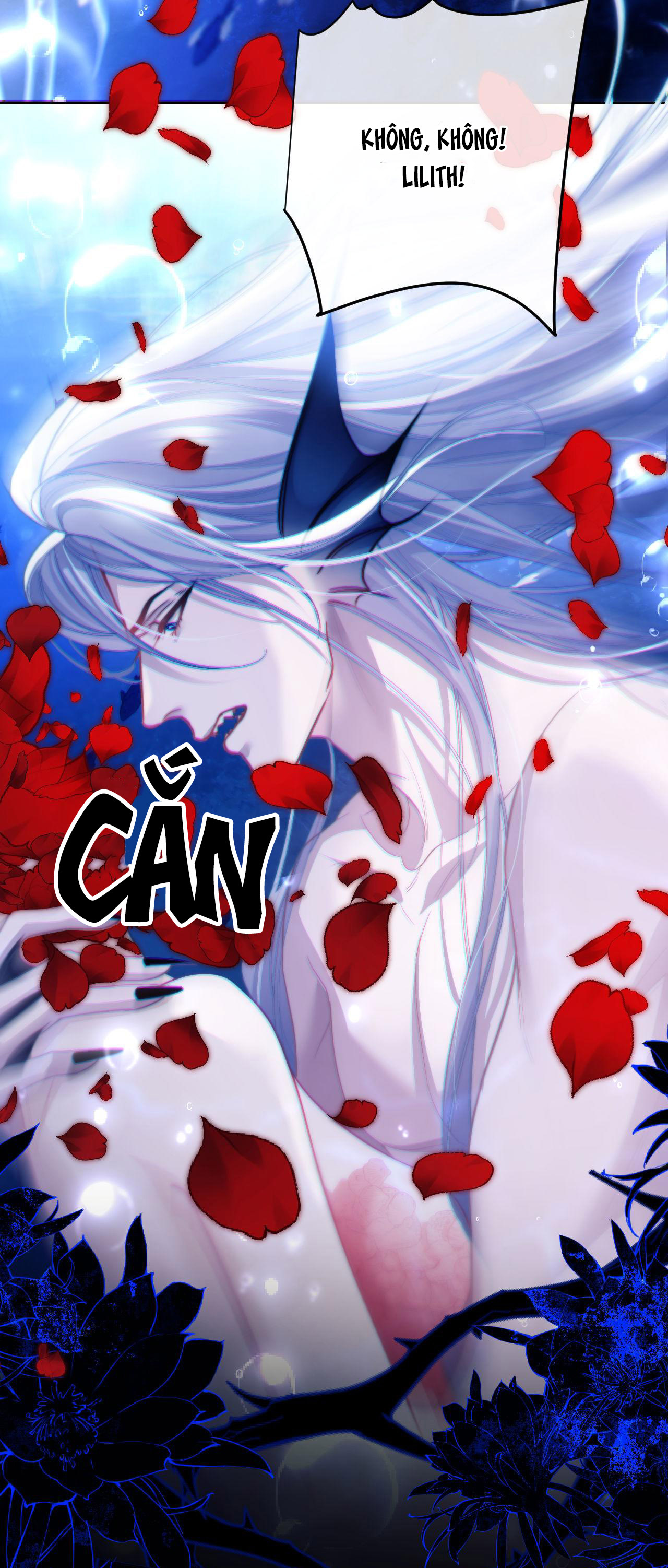 nhân ngư dessaro chapter 12 18