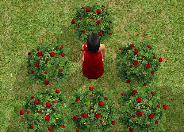 bella's story chapter 5.4 6