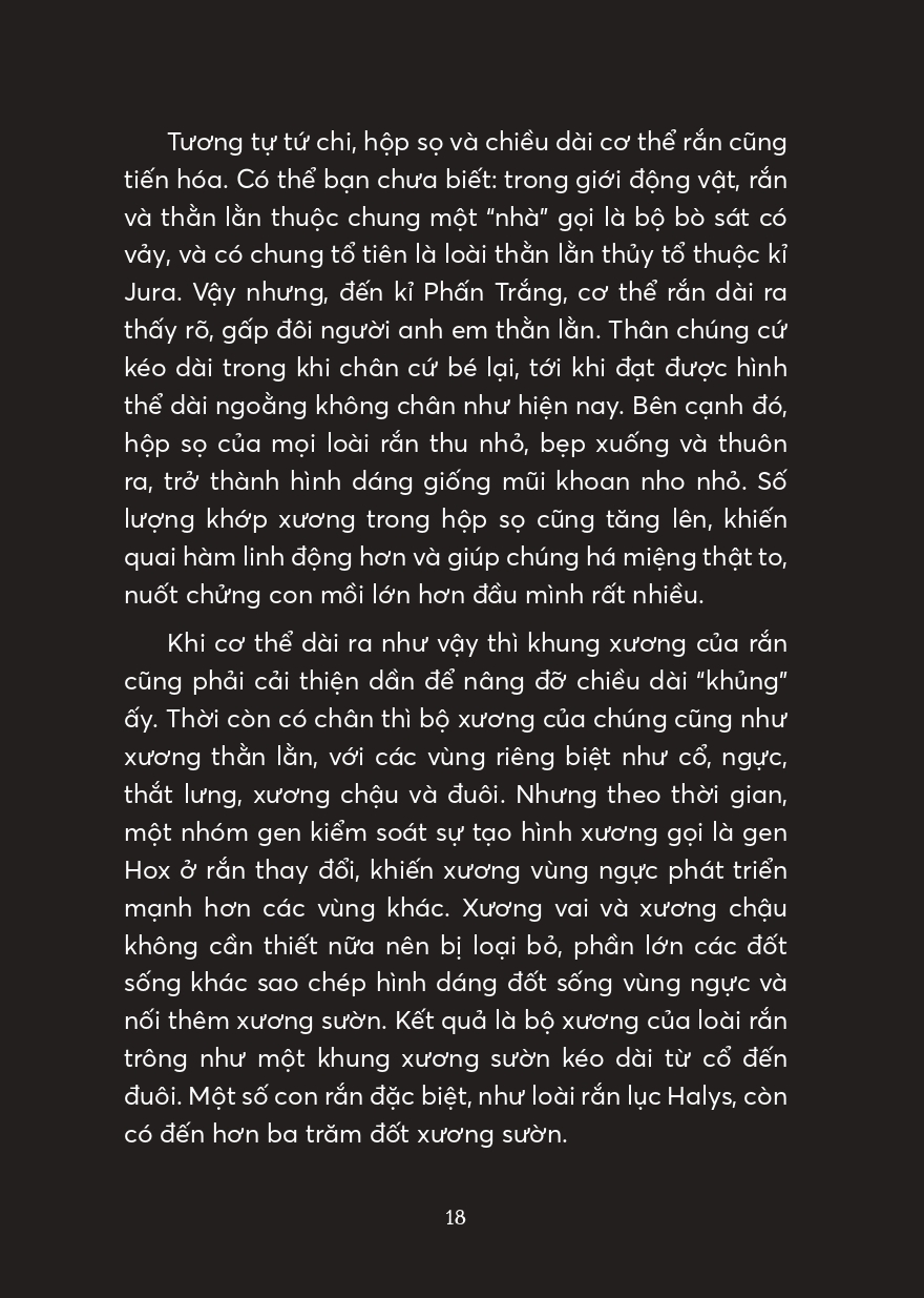 Xà Điển - Muôn Chuyện Về Loài Rắn