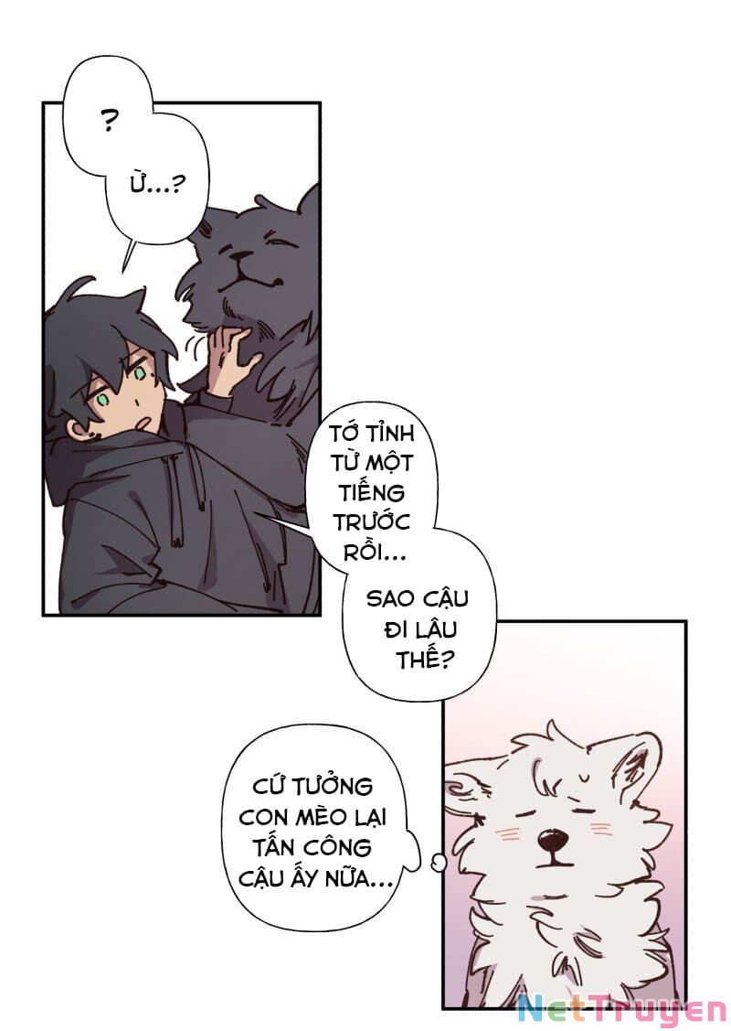 lumine - cội nguồn ánh sáng chapter 83 11