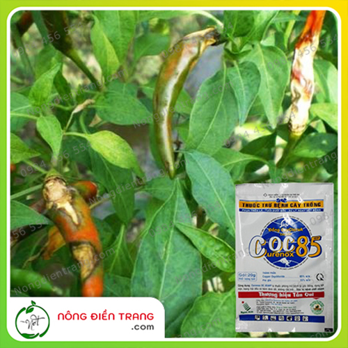 Phòng Trừ Nấm Bệnh Coc85 - Gói 20g - Thuốc Coc 85 trị nấm bệnh cao cấp phòng trừ bệnh chết nhanh VTNN Nông Điền Trang