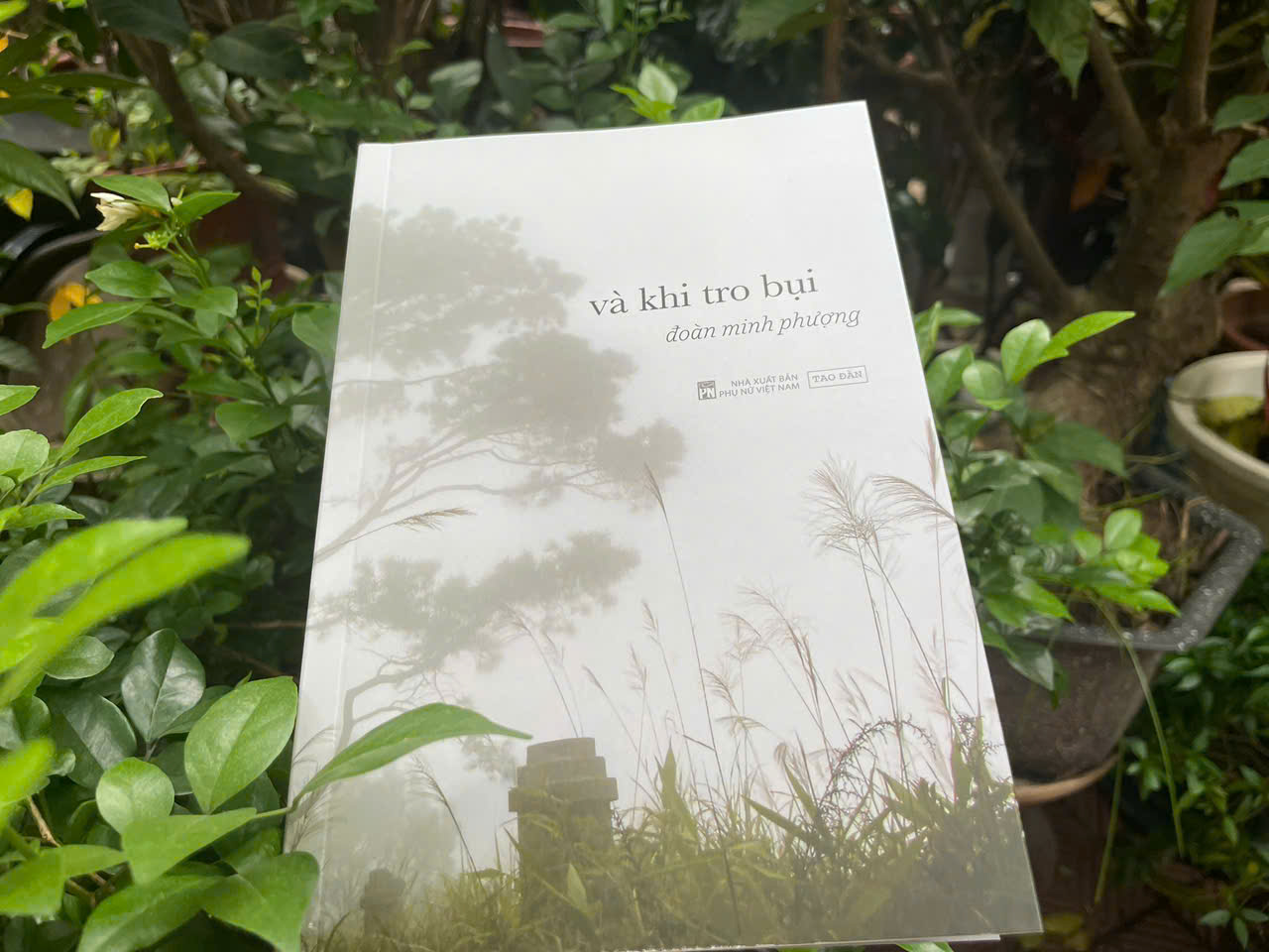 Và Khi Tro Bụi (2025)