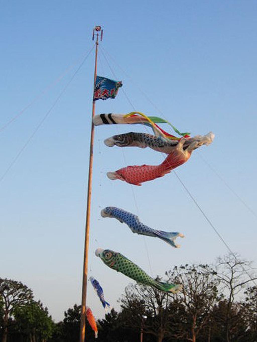 Japanese Windsock Carp Flag Koi Nobori Sailfish 150cm Blue And 100cm Red