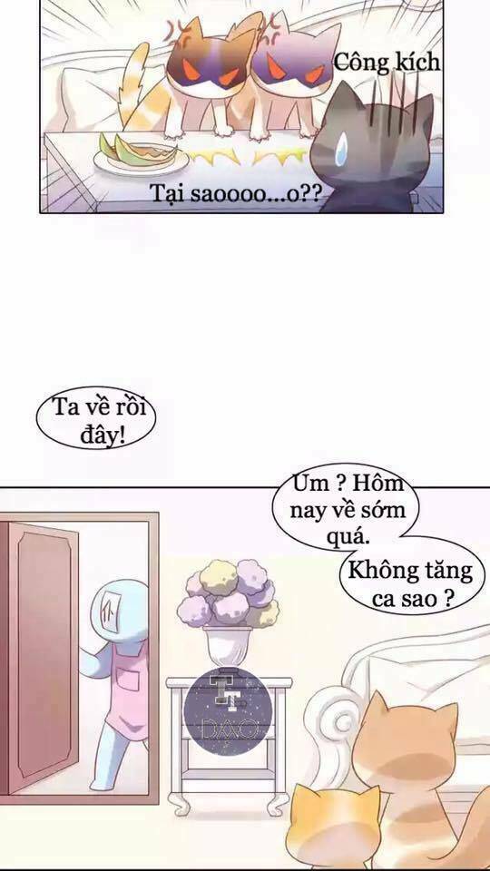 dưới móng vuốt mèo chapter 12 5