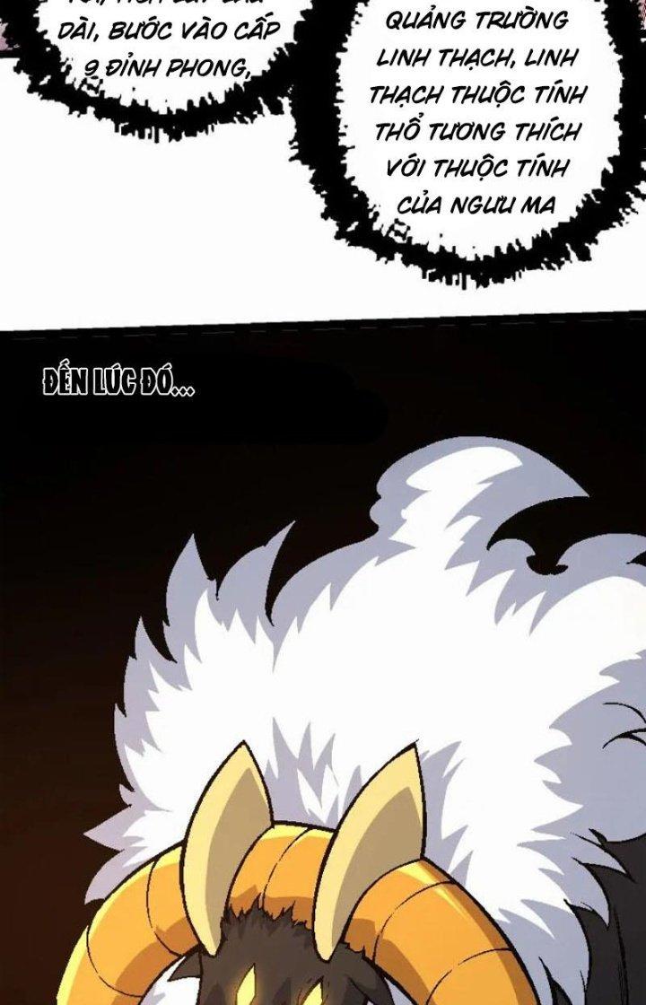 từ cây cổ thụ bắt đầu tiến hóa chapter 42 65