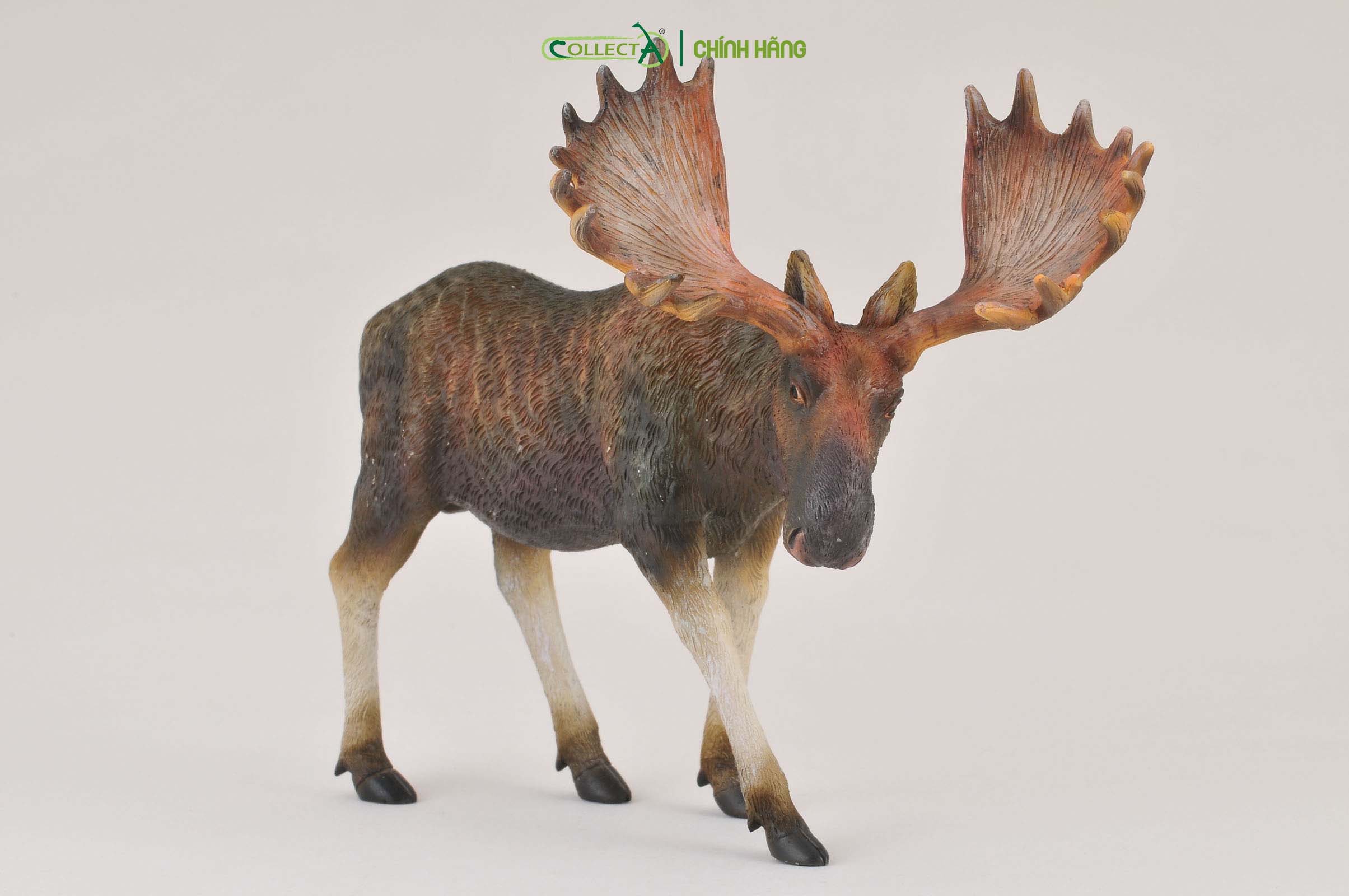 Mô hình thu nhỏ: Nai Sừng Tấm - Moose, hiệu: CollectA, mã HS 9651420[88335] -  Chất liệu an toàn cho trẻ - Hàng chính hãng