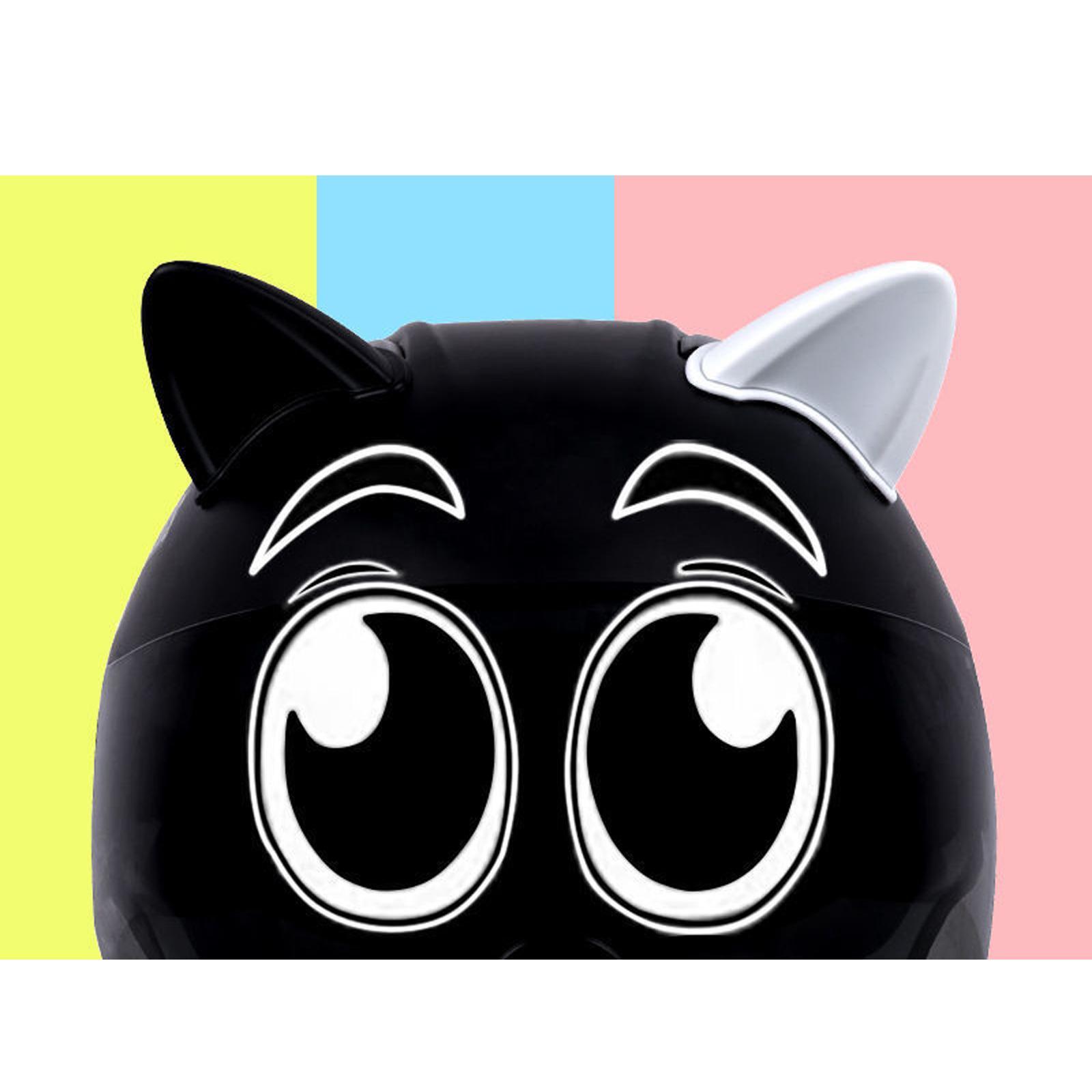 Decoration Interchangeable for Motorcycle Helmets