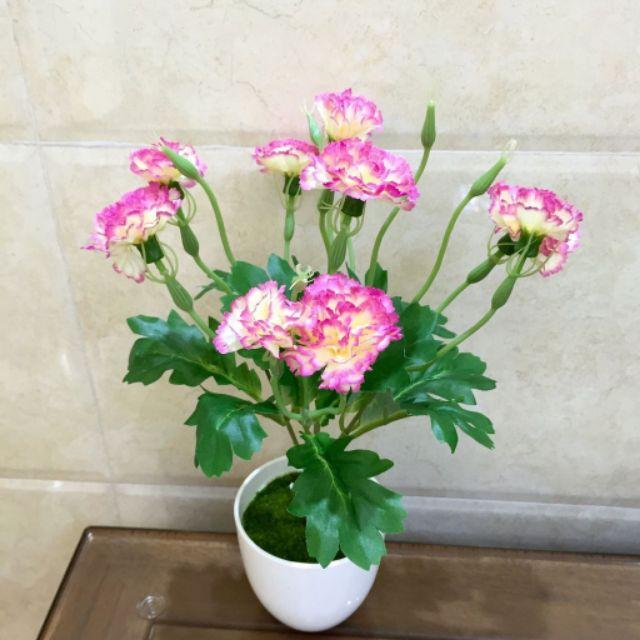 Chùm hoa cẩm chướng 5 nhánh vải lụa cao cấp trang trí nhà cửa, cắm lọ đẹp tinh tế