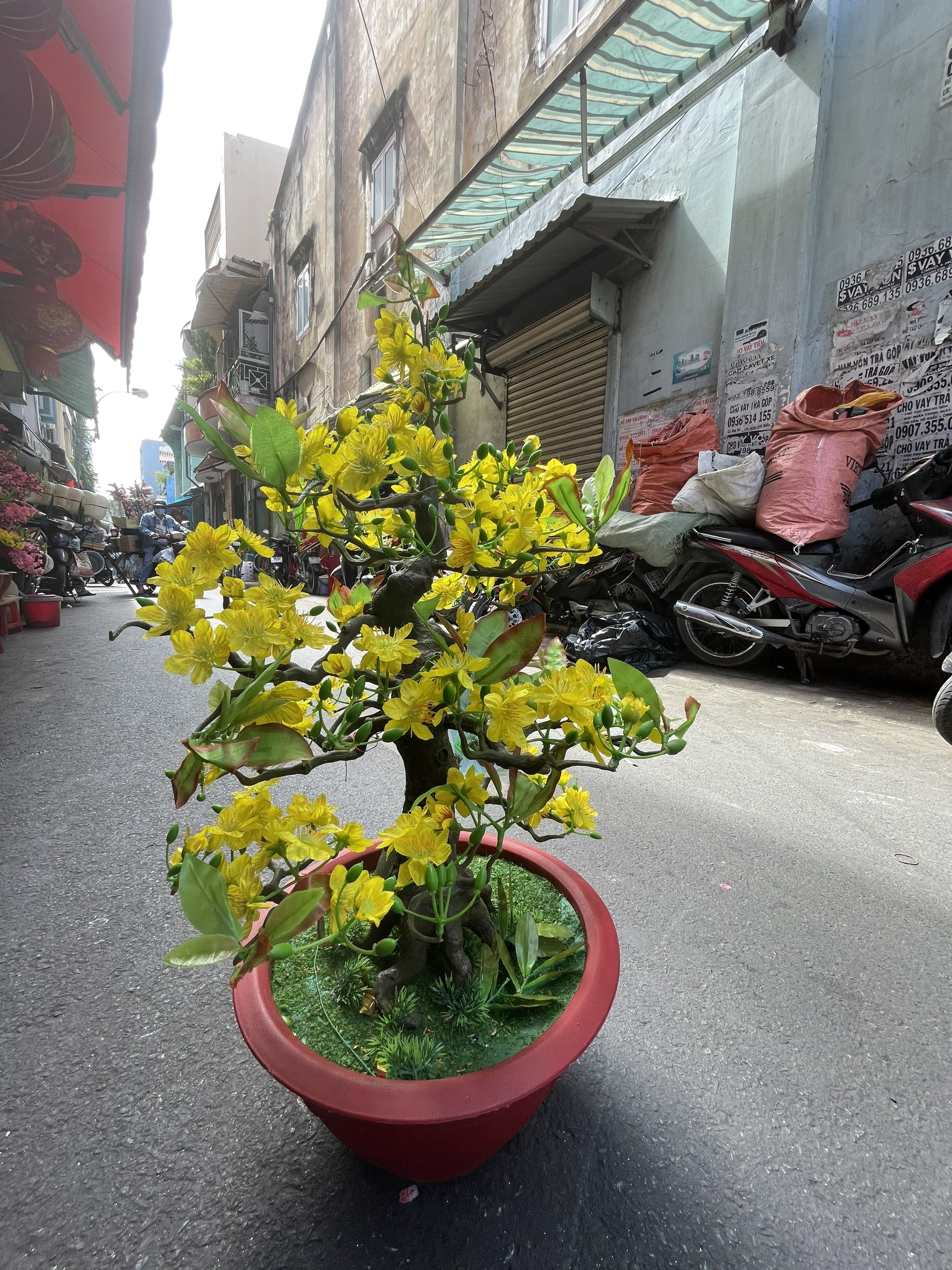 Cây Hoa Mai Bonsai Nhựa Cao 80 cm Hoa Mai Giả Trang Trí Tết