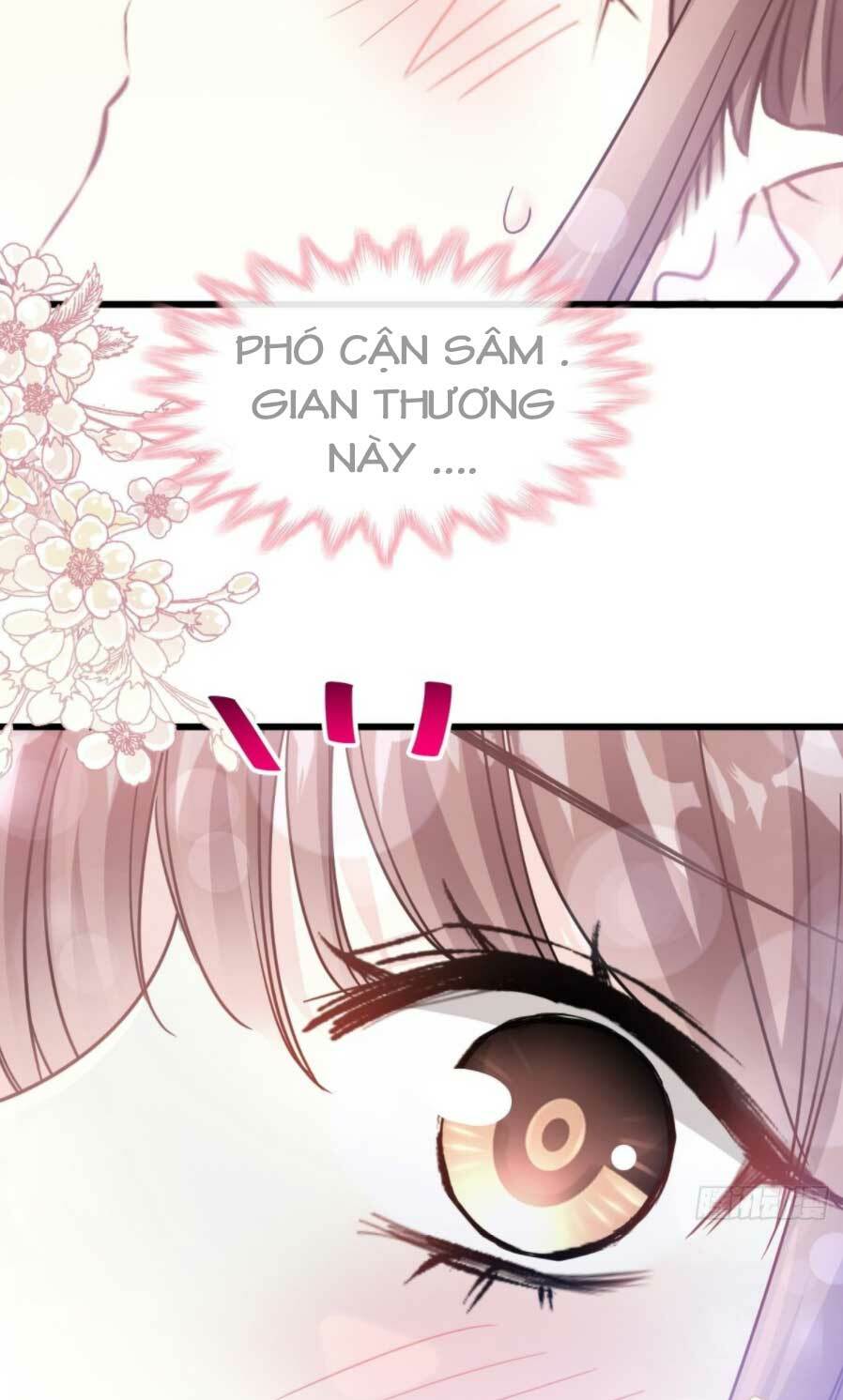 bá đạo tổng tài nhẹ nhàng yêu chapter 72.1 5