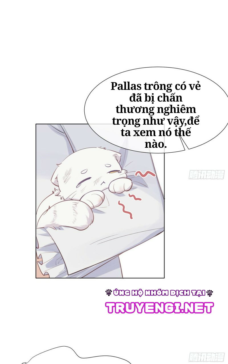 công lược của mami chapter 10 26