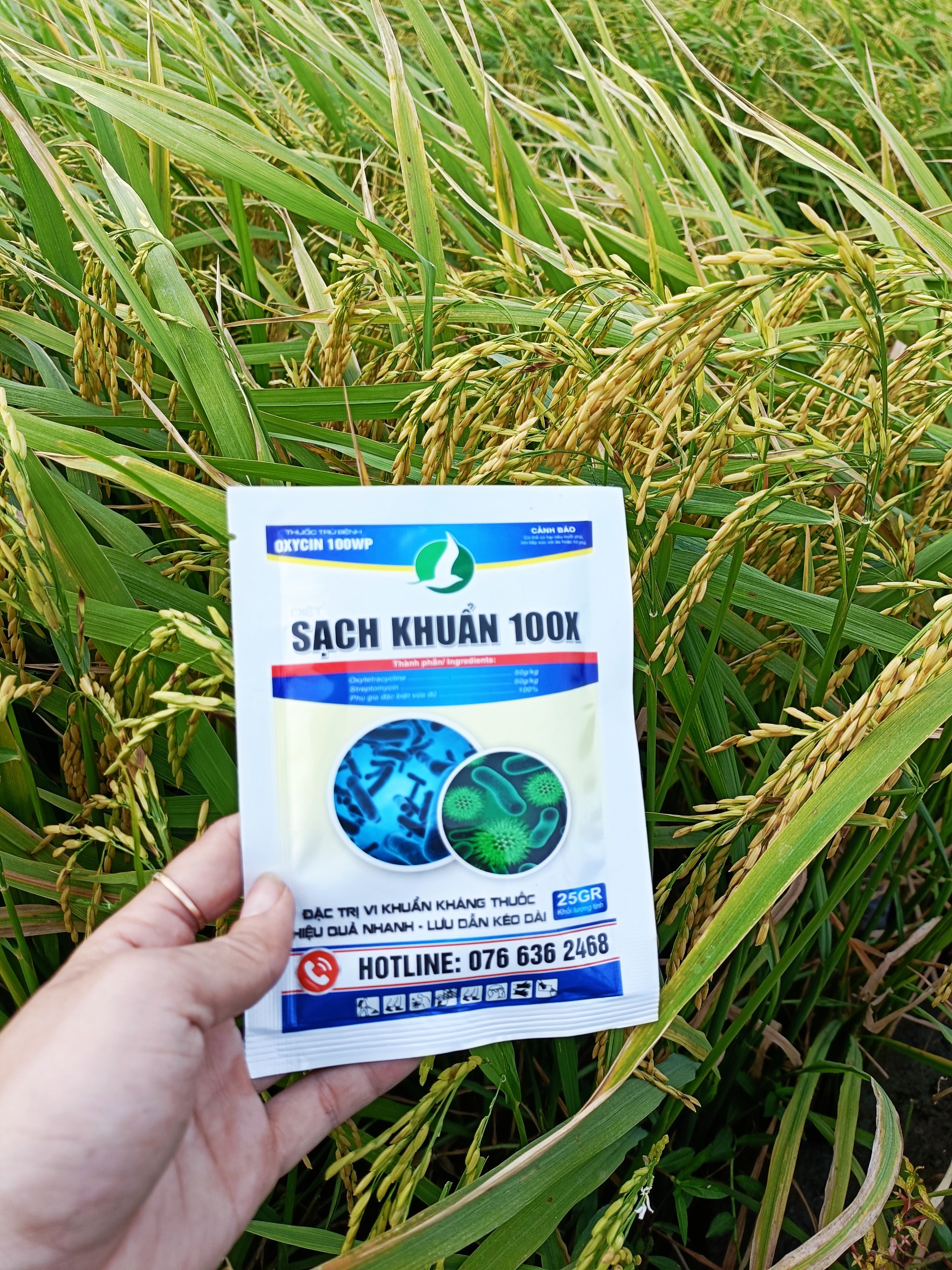 SẠCH KHUẨN GÓI 25GR. Phòng: thối gốc, lép vàng, cháy bìa lá, thối nhũn