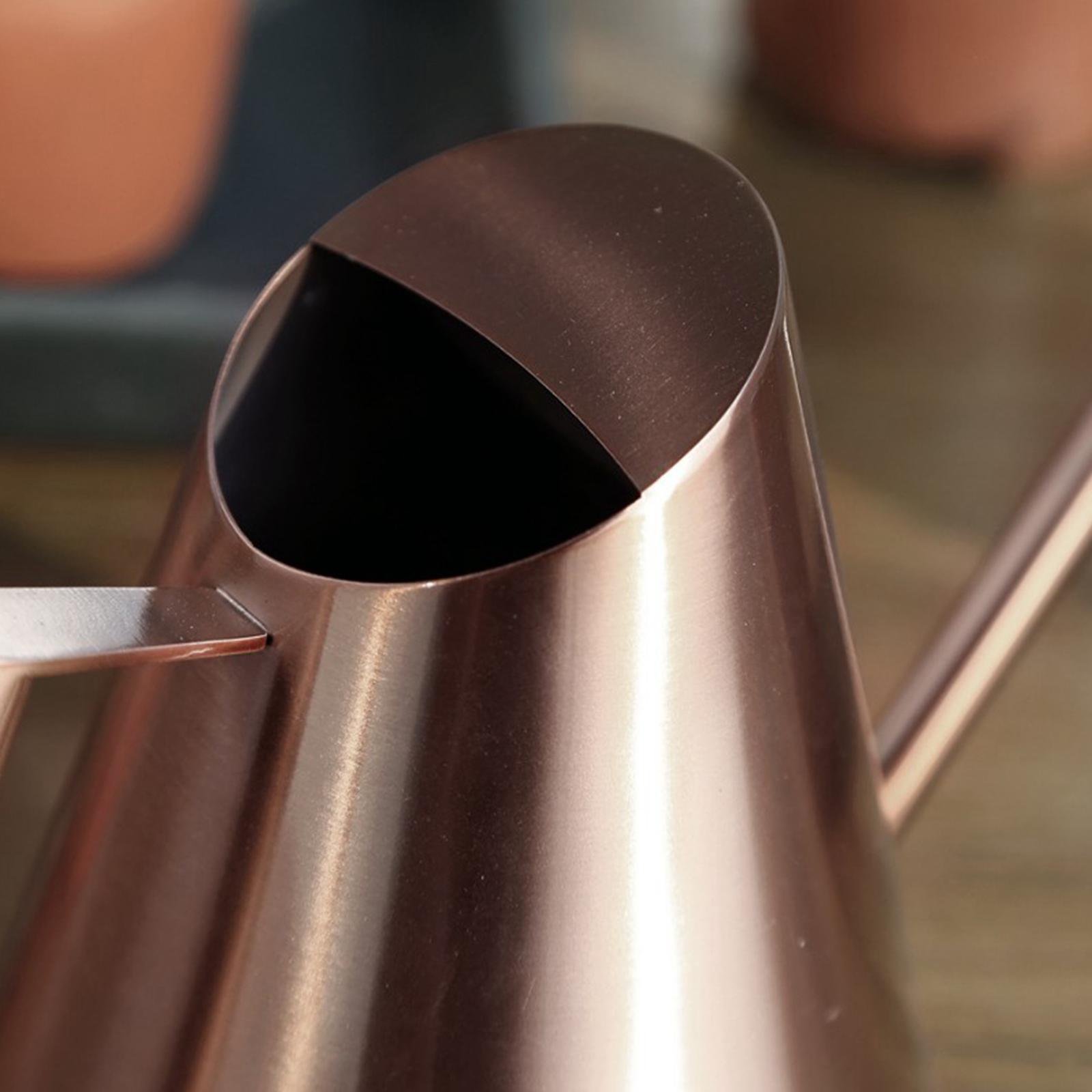Small Indoor Watering Can for House Plants Stainless Steel Watering Pot with Long Spout