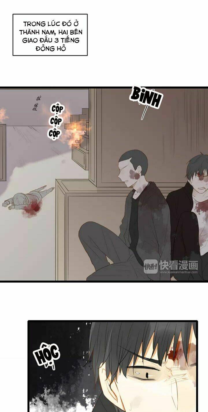 điều giáo quan hệ chapter 26 22