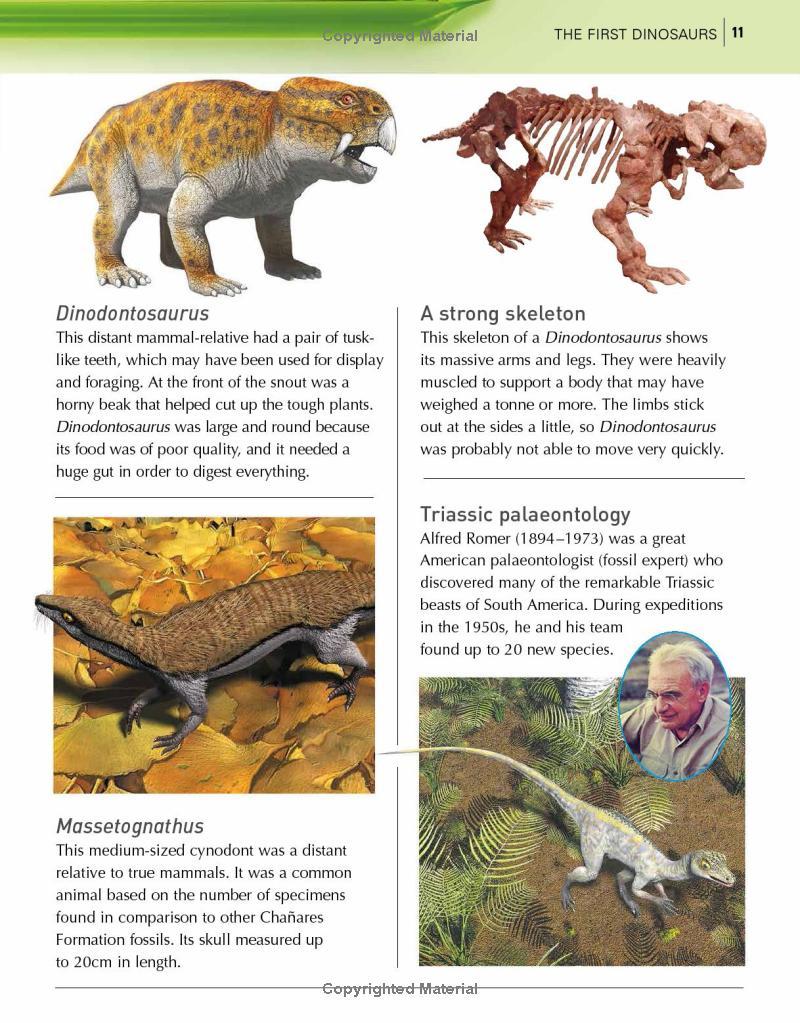 Sách ngoại văn: The Kingfisher Dinosaur Encyclopedia