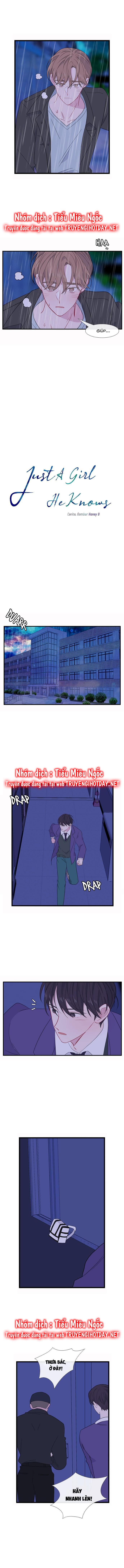 quay lại nhé chapter 106 4