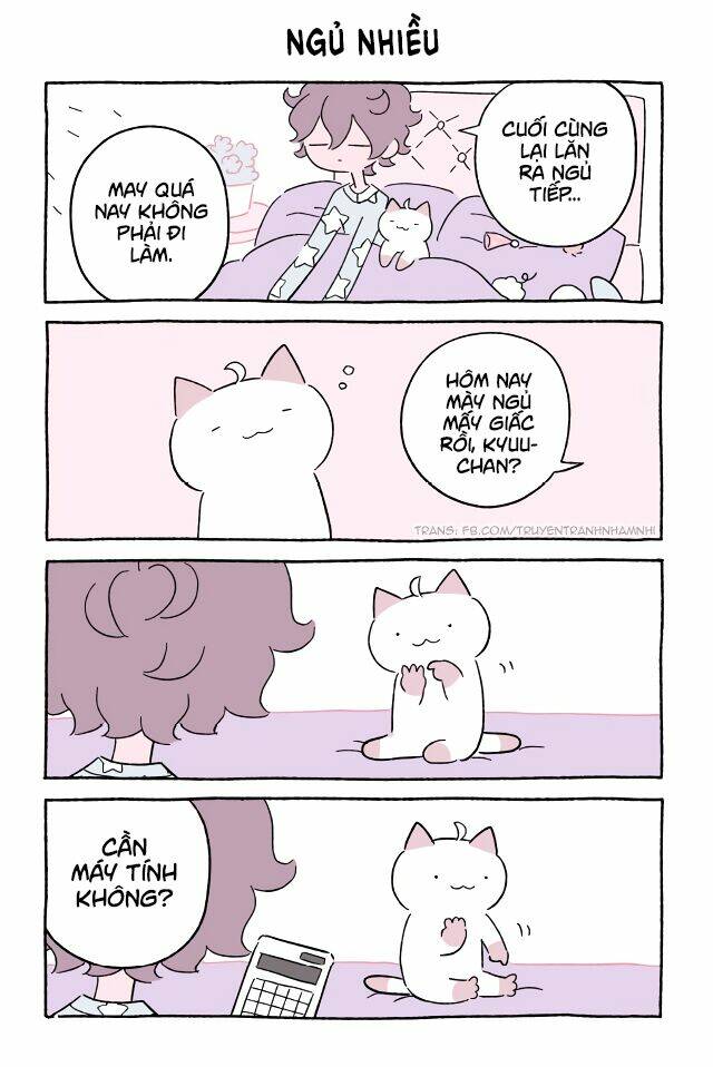 chú mèo kỳ diệu kyuu-chan chapter 550 2