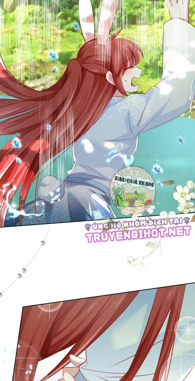 hắc hóa nam chính trực tuyến nuôi thỏ chapter 22 6