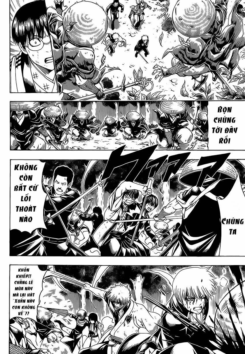 gintama - linh hồn bạc chapter 545 11
