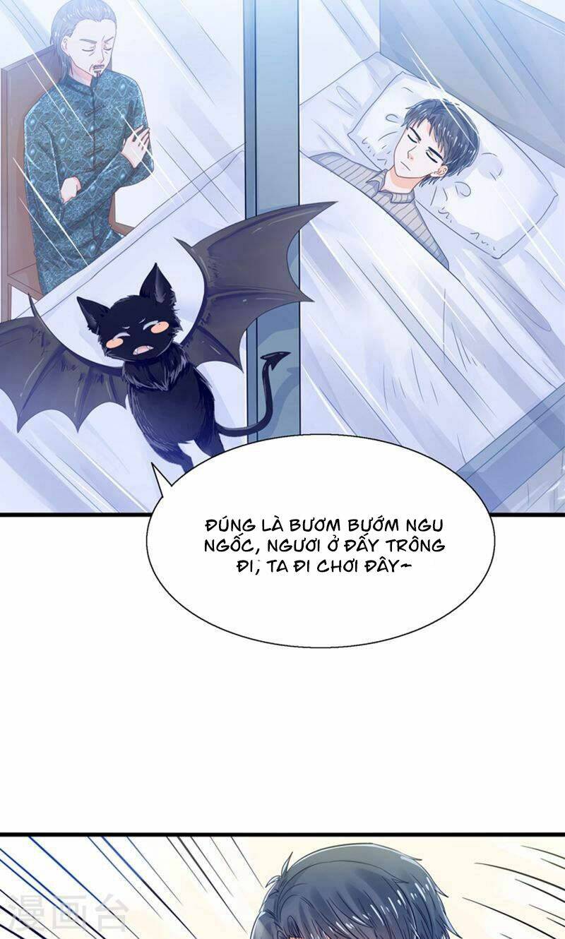 tôi bị gấu trúc nhìn trúng rồi chapter 22 40