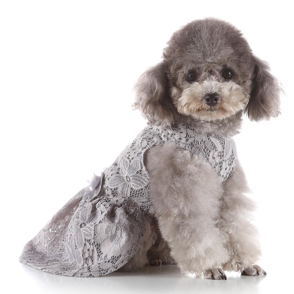 Cute Lovely Dog Puppy Summer Dress Pet Princess Dress For Small Dog Puppy XS