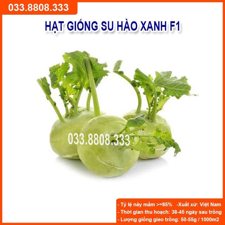 HẠT GIỐNG SU HÀO XANH 5gram - CỦ TO ĐẸP