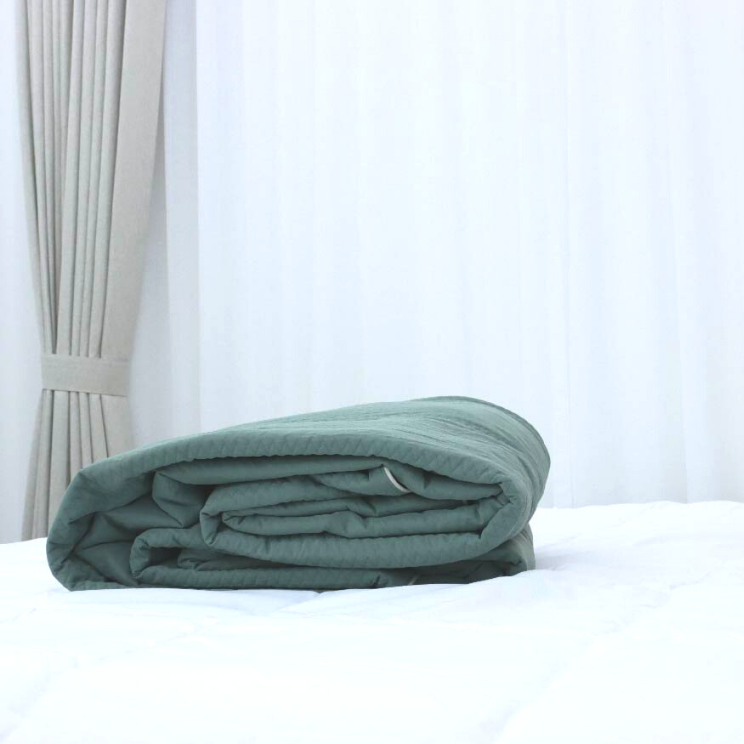 Chăn bốn mùa Micro Modal Xanh Lá K-Bedding KMMS204 200*220cm