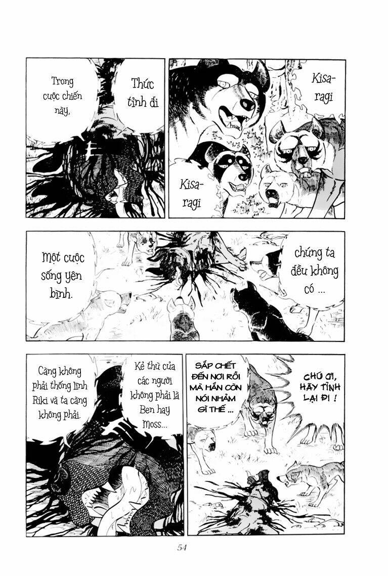 chú chó có nghĩa - ginga nagareboshi gin chapter 32.1 8