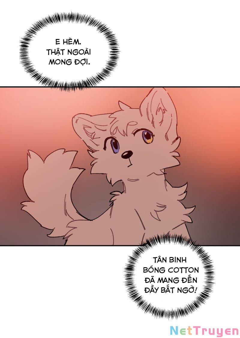 lumine - cội nguồn ánh sáng chapter 107 31