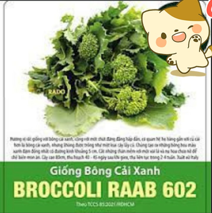 Hạt giống Giống bông cải BROCCOLI RAAB 602