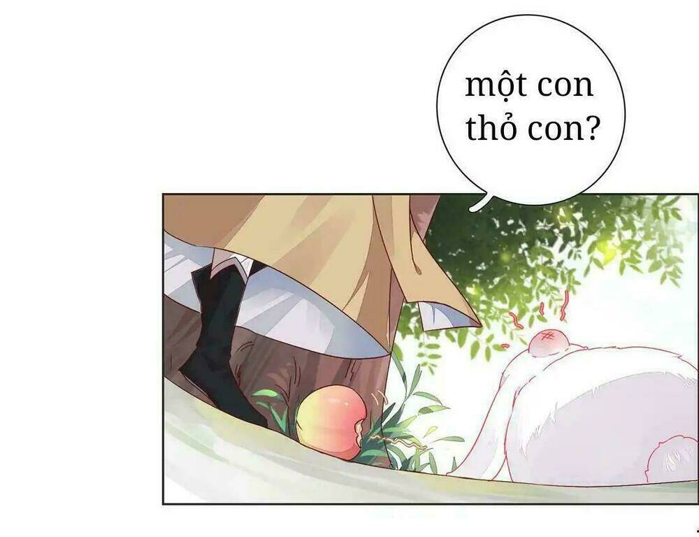 phi thiên địch tự dưỡng đích khẩu tử chapter 1 12