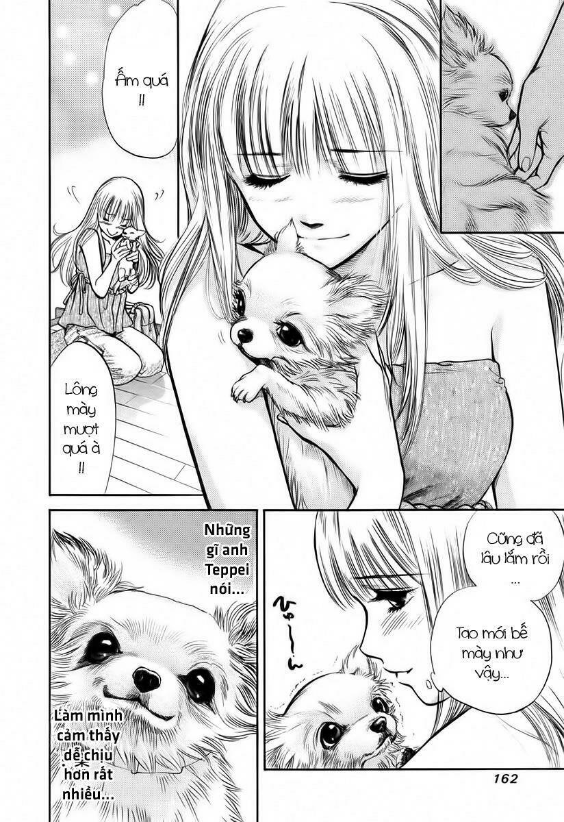 cô nàng yêu chó chapter 39 11